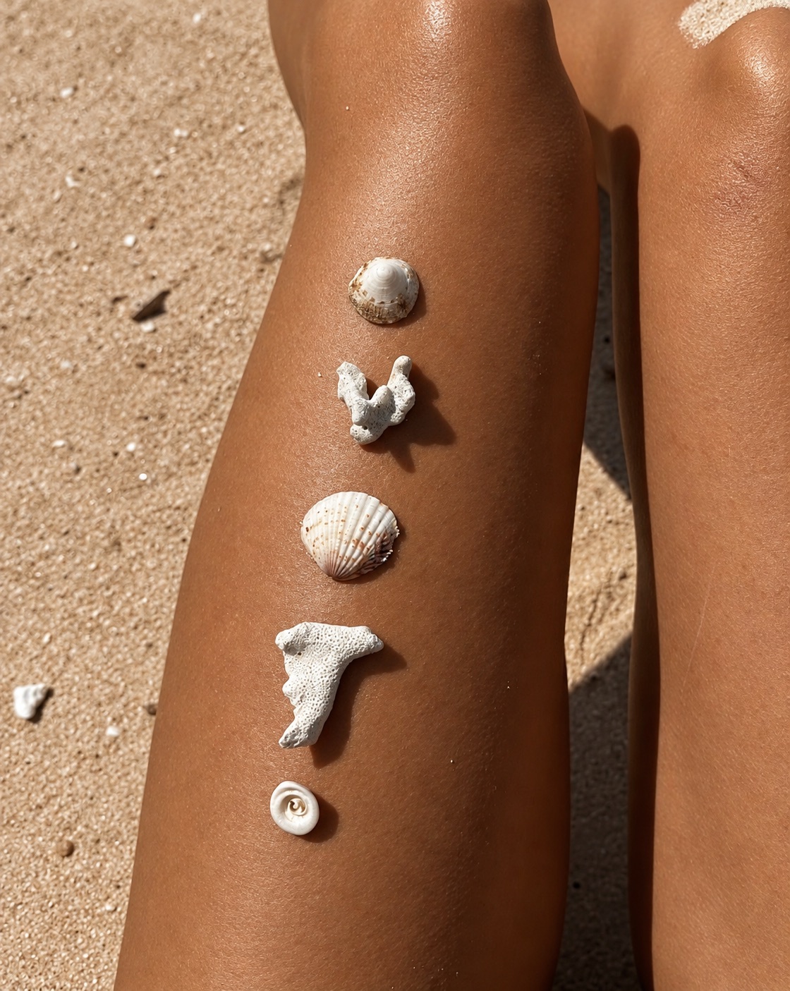Seashells arranged on legs beside the sand